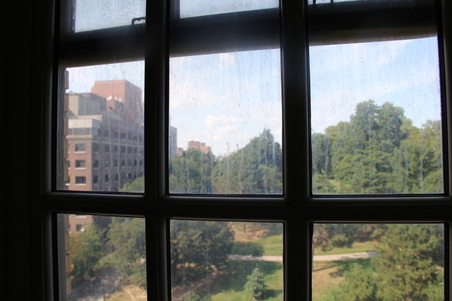 Enlarge photo 15