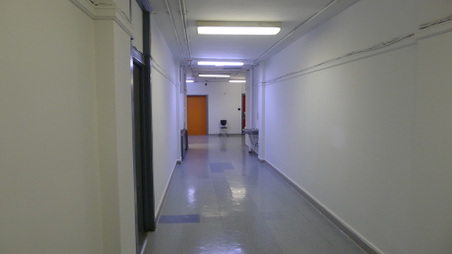 East Harlem Council for Community 
