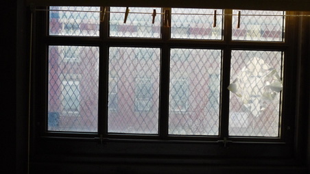 Enlarge photo 15