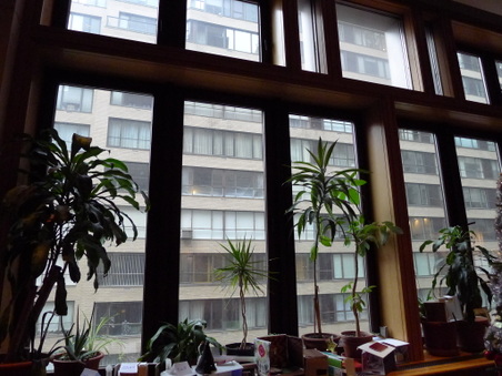 Enlarge photo 36