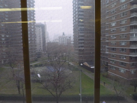 Enlarge photo 28