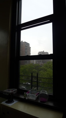 Enlarge photo 18