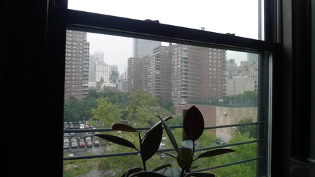 Enlarge photo 37