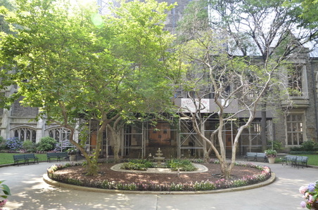 Enlarge photo 15