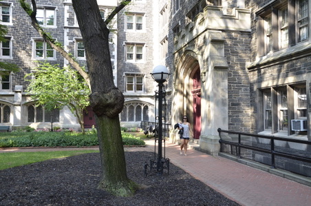 Enlarge photo 9