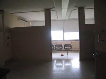 Enlarge photo 72