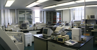 Enlarge photo 24