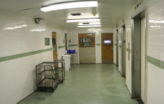 Enlarge photo 31
