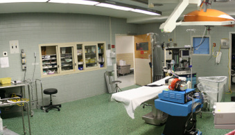 Enlarge photo 37