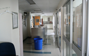 Enlarge photo 52