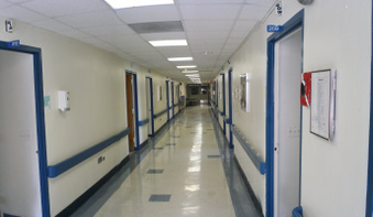 Enlarge photo 53