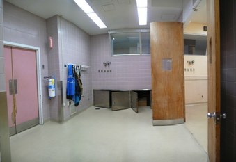 Enlarge photo 35