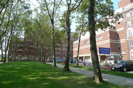 Enlarge photo 28
