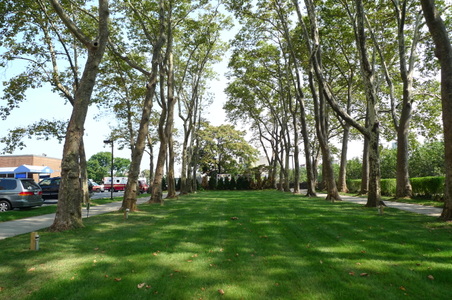 Enlarge photo 29