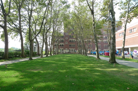 Enlarge photo 30