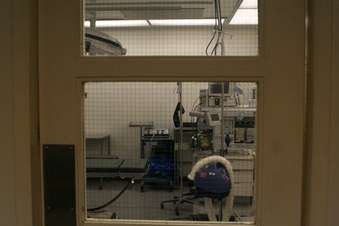 Enlarge photo 28