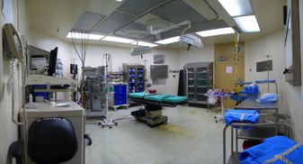 Woodhull Hospital