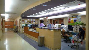 Enlarge photo 46