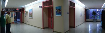 Enlarge photo 83
