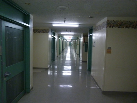 Woodhull Medical and Mental Hospital