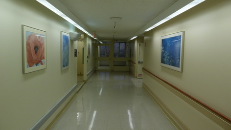 Enlarge photo 10