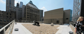 Enlarge photo 41