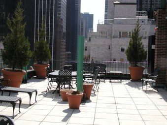 Enlarge photo 41