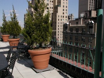 Enlarge photo 44