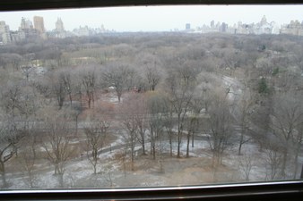 Enlarge photo 53