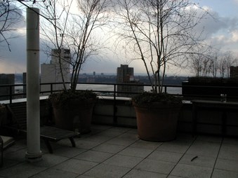 Enlarge photo 30
