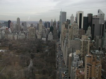 Enlarge photo 45