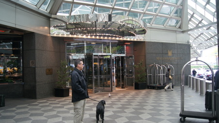 Enlarge photo 5