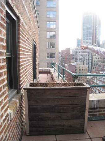 Enlarge photo 11