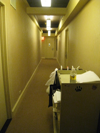 Enlarge photo 2