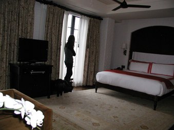 Enlarge photo 22
