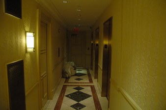Enlarge photo 44