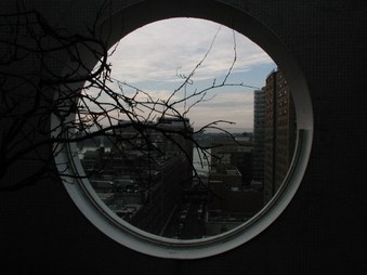 Enlarge photo 31