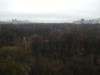 Enlarge photo 39