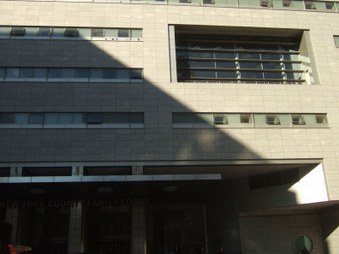 Family Court Of The State Of NY