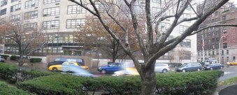 Enlarge photo 25