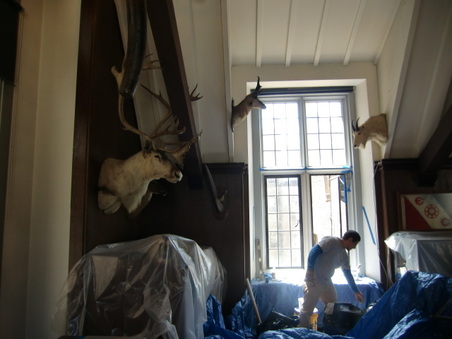 Enlarge photo 46