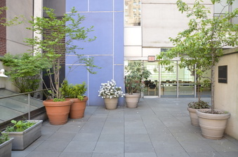Enlarge photo 36
