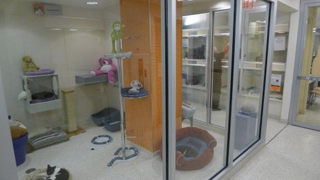 Enlarge photo 14