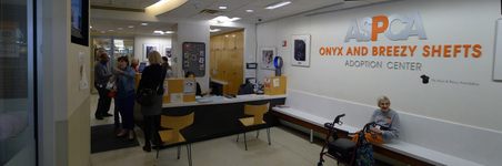 Enlarge photo 8