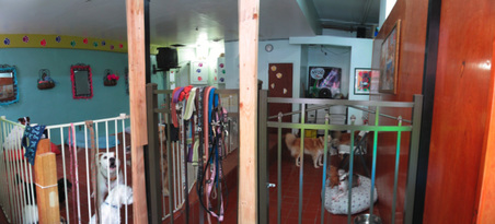 Enlarge photo 5