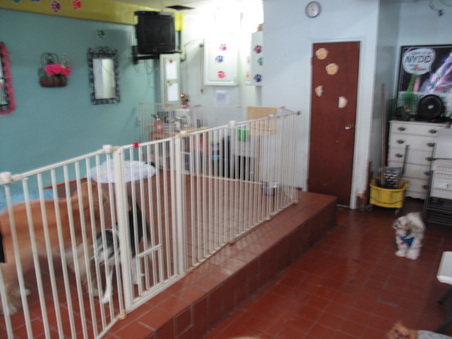 Enlarge photo 6
