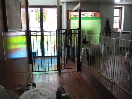 Enlarge photo 7