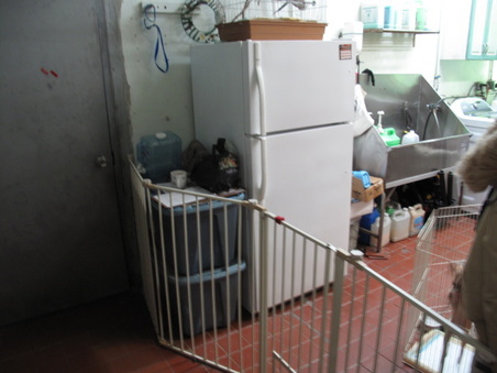 Enlarge photo 9