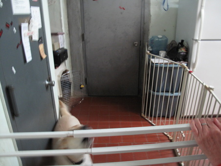 Enlarge photo 10