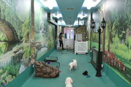 Enlarge photo 7